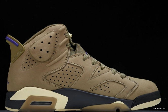 6 Retro FD1643-300  Brown Gore-Tex Kelp Jordan 0807